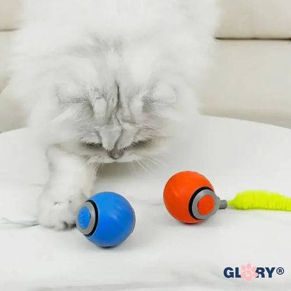 Glory Ball-2.0 Akıllı Kedi Topu