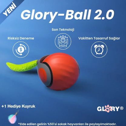 Glory Ball-2.0 Akıllı Kedi Topu