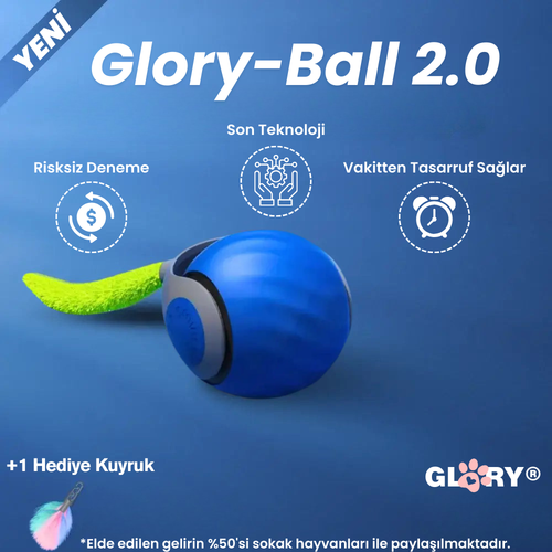 Glory Ball-2.0 Akıllı Kedi Topu