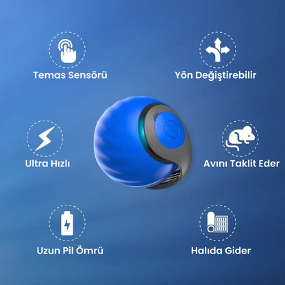Glory Ball-2.0 Akıllı Kedi Topu